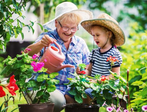 Tips for a Flourishing Summer Garden