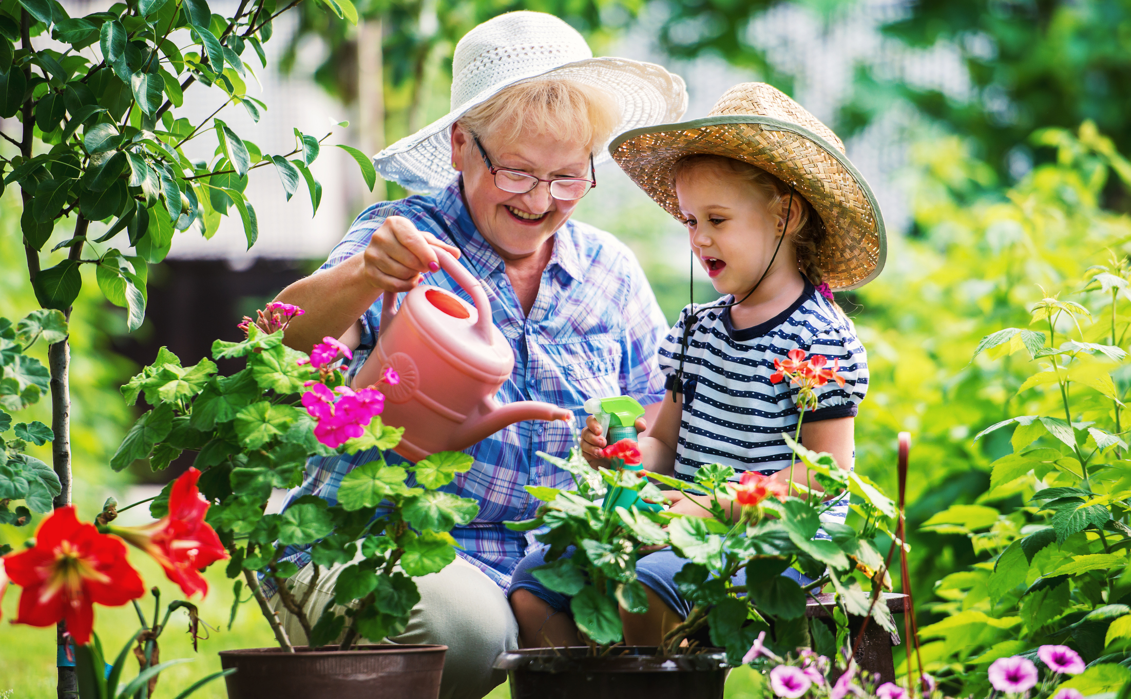 Tips for a Flourishing Summer Garden Miles Financial Group